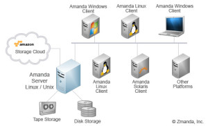 chart-amanda-network-no-brd